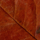 Illustration for article titled Shooting Challenge Fall Leaves Gallery 3